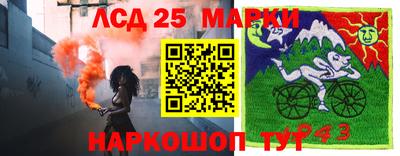 прущие грибы Новодвинск
