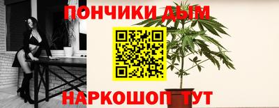 гидропоника Новозыбков