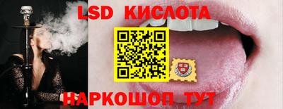 гидропоника Новозыбков