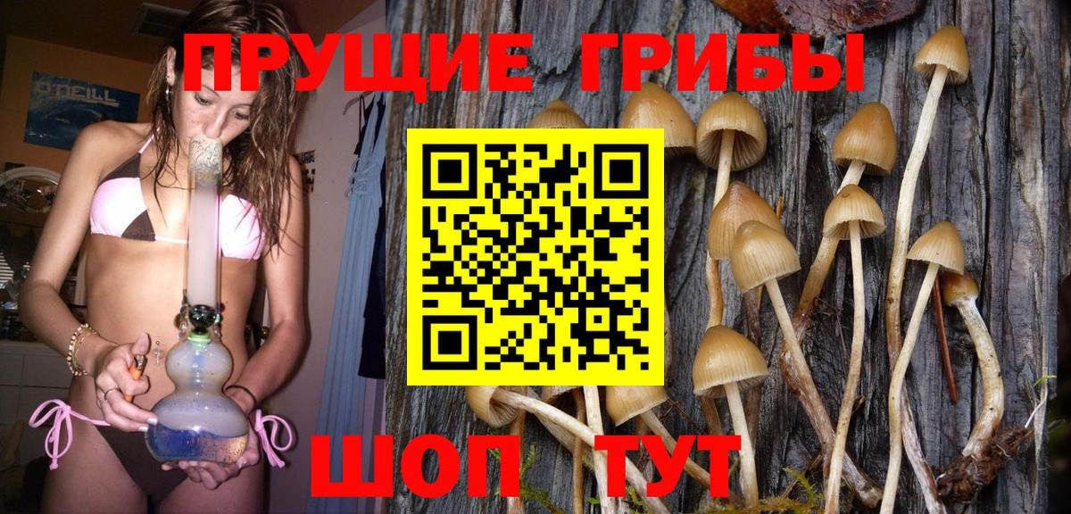 Галлюциногенные грибы прущие грибы Фрязино